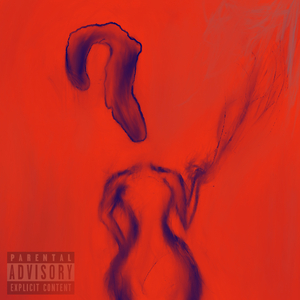 Please Don't Ask Me Questions