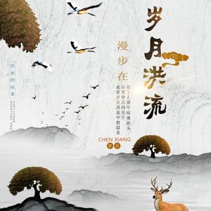 漫步在岁月洪流