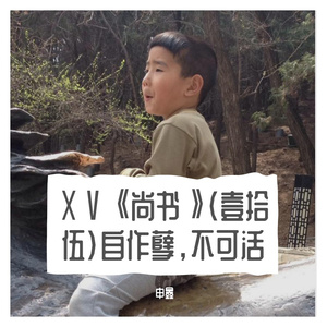 ⅩⅤ《尚书》（壹拾伍）自作孽，不可活