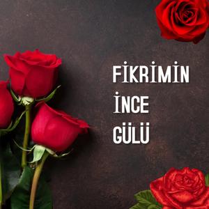 Fikrimin İnce Gülü