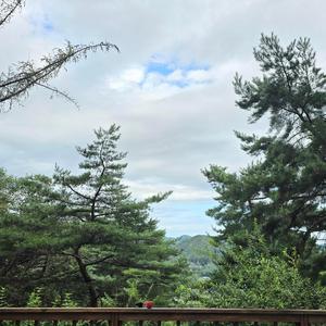 오늘은 꼭 고백할거야