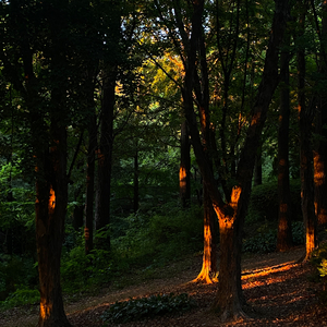 불행하길 바랄게