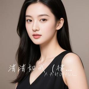 清清如我 (律动版) (大头针Offlcial Remix)