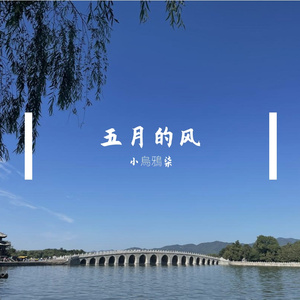 核桃瓜子巧克力