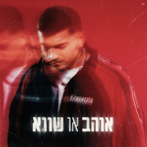 אוהב או שונא