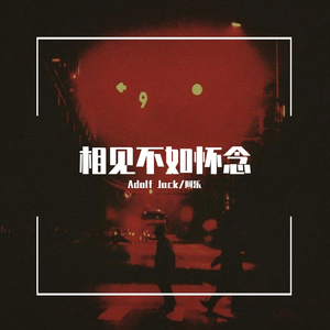 那英-相见不如怀念(Remix)