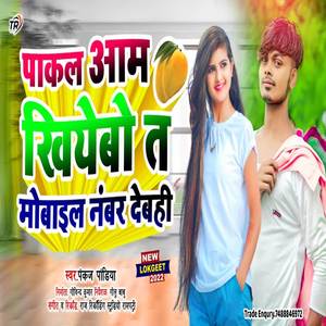 Pakal Pakal Aam Khiyebou