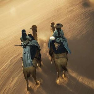 脚下的答案-幸福小狗