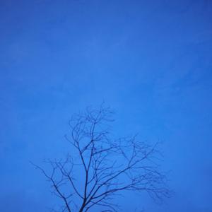 每个不曾起舞的日子都是对人生的辜负