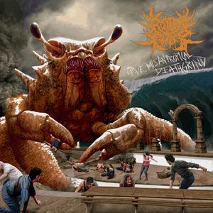 Fiesta MisanTropical.