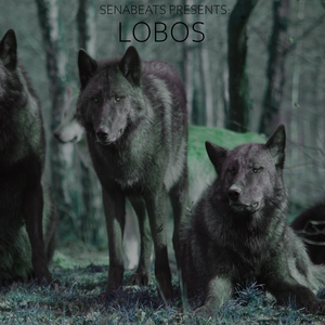Lobos