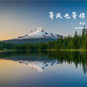 等风也等你