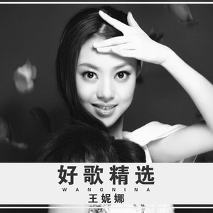 开心的日子 (二胡版)