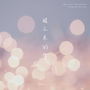 醒不来的梦 (韩文版)