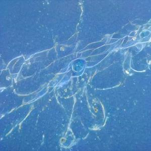 【Free】雨天-(另类RnB旋律)