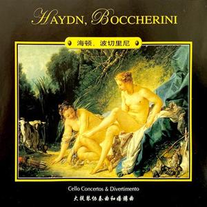 海顿大提琴D大调嬉游曲 - I. Adagio