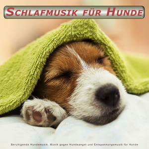 Beruhigende Musik für Hunde