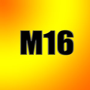 M16
