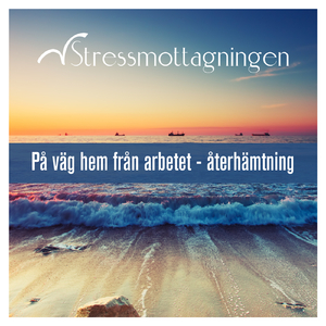 Återhämtning och observation på väg hem, del 17