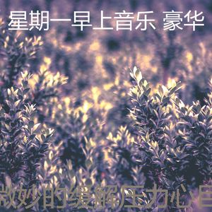 抚慰的星期一回忆