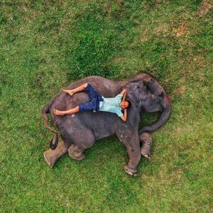 Bipode Jara Sathe Thake (বিপদে যারা সাথে থাকে)