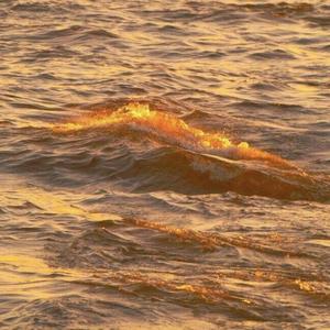 ZIV-Fake Love（Carmelo_ remix）