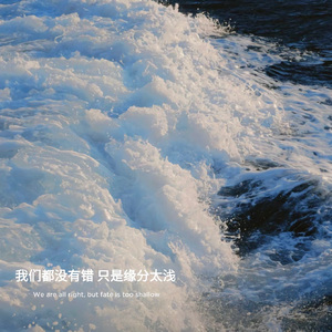 《得到爱挽回爱失去爱》