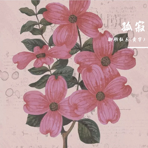 森林狂想曲（御聆弘乐(黄宇) remix）