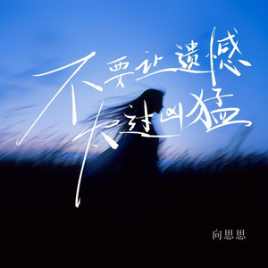 不要让遗憾太过凶猛 (DJ泽亦龙版)