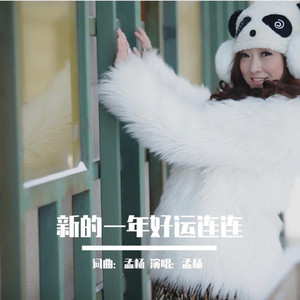 新的一年好运连连 (车载版)