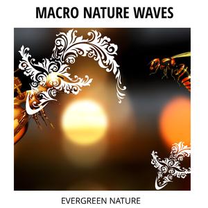 Screeching Ocean Bliss