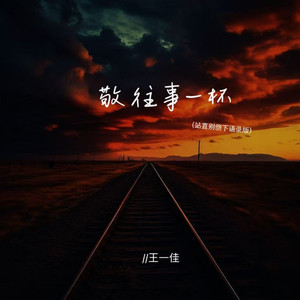 敬往事一杯（站直别倒下语录）