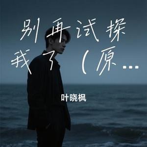 别再试探我了