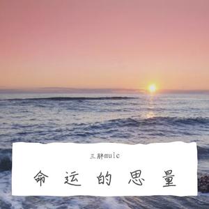 命运的思量 (烟嗓)