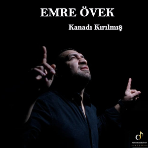 Kanadı Kırılmış