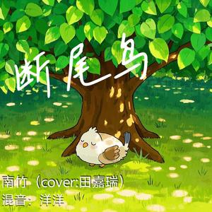 断尾鸟（cover田嘉瑞）