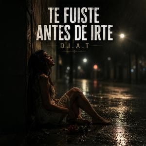 Te fuistes antes de irte