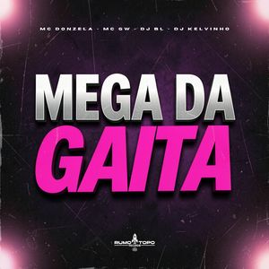Mega da Gaita - Taco Lá Dentro