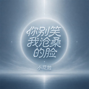 你别笑我沧桑的脸