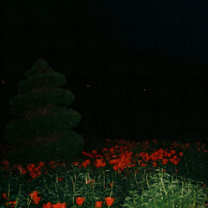 Поклонница