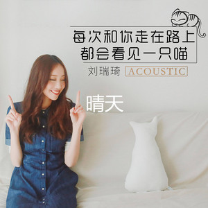 刘瑞琦-【刘瑞琦】-晴天(DJ.Eivin一文2k16 Extended Mix)（DJ.Eivin一文/刘瑞琦 Remix）