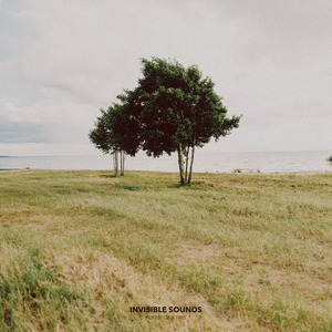 Still Life (Original Mix)