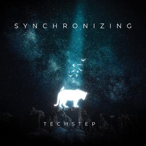 Synchronizing