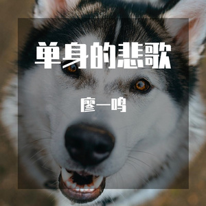 单身的悲歌 伴奏