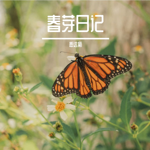 春芽日记