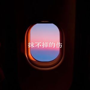 抹不掉的伤