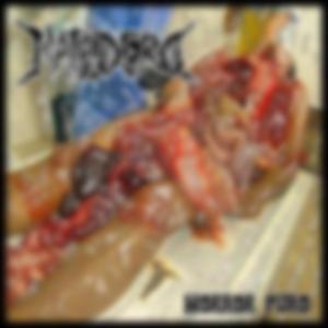 Excretor Vaginal de Pestilencia