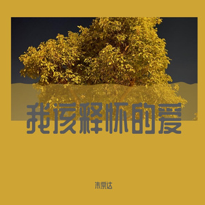 我该释怀的爱
