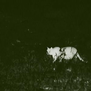 切ない (setsunai)