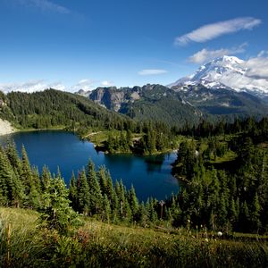 我的心，你永远的居住权